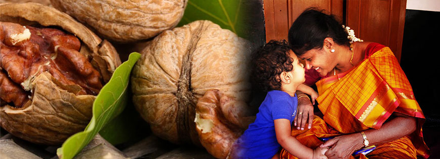 The Walnut Benefits That Every Parent Should Know